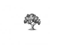 Tree-art