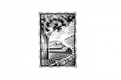 Tree_Barn_Woodcut
