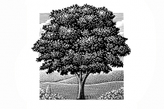 Tree_Landscape