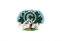 Tree_swing