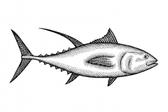 Tuna-Final-art-