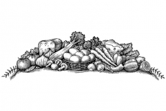 Vegetable-food