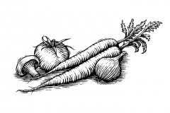 Vegetables