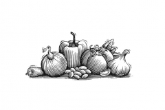 Vegetables-art