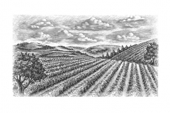 Vineyard-art