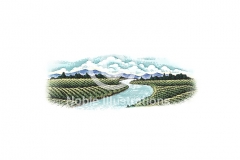 Vineyard_Landscape-Scene