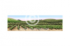 Vineyards