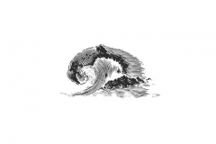 Wave_Woodcut