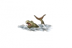 Whale-Icon-