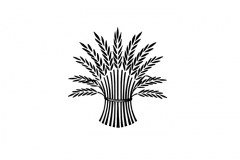 Wheat_1