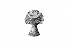 Wheat_Icon
