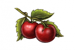 Whole-tomatoes