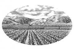 Wine Train