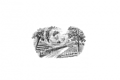 Winery-Scene