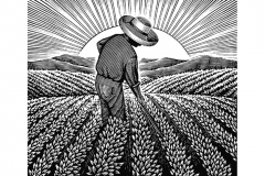 Working_Farmer