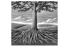 tree_roots