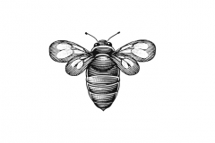 Bee_icon