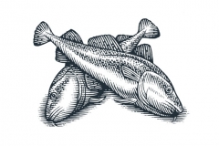 Cod fish woodcut