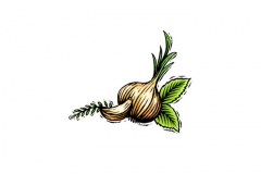 Garlic_Herb