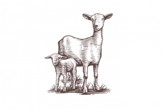 Goat_Woodcut