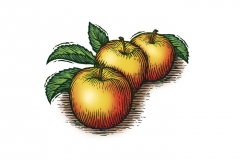 Organic_Apples
