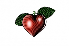 Organic_Heart
