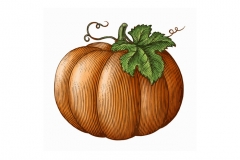 Pumpkin-art