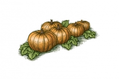 Pumpkin_Woodcut