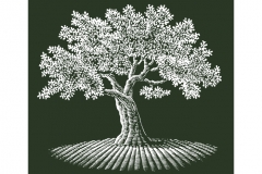 Tree_Woodcut