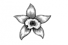 Vanilla Flower Icon
